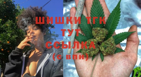 ГАЛЛЮЦИНОГЕННЫЕ ГРИБЫ Алзамай