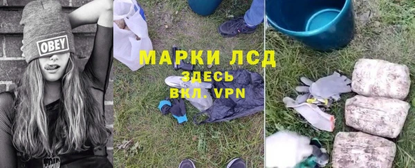 индика Алексеевка