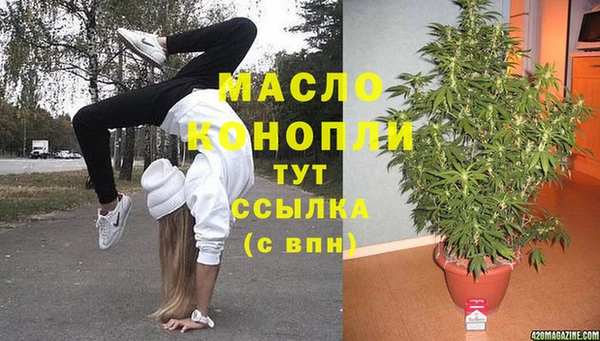 индика Алексеевка