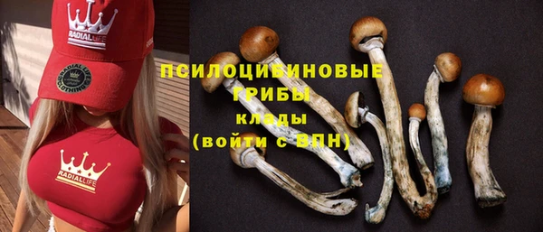 спиды Абинск