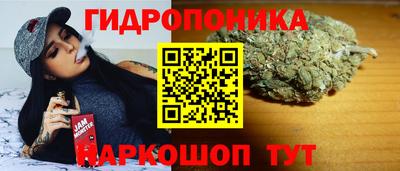 кокс Камышлов