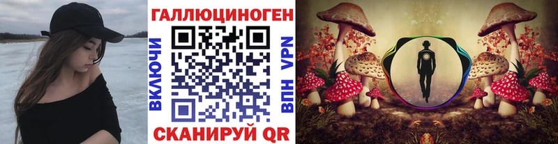 сколько стоит  Миллерово  Псилоцибиновые грибы Cubensis 