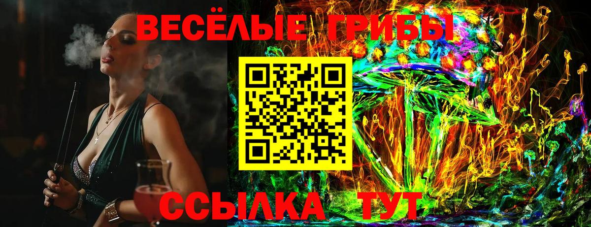 Миллерово  Псилоцибиновые грибы Psilocybine cubensis  Вход с VPN 