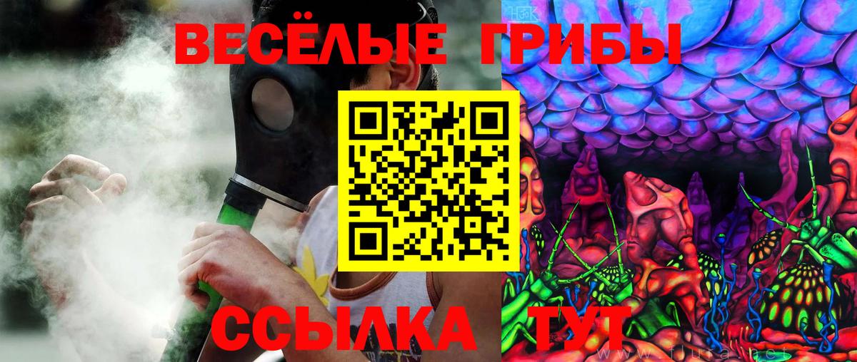 Псилоцибиновые грибы мицелий Миллерово