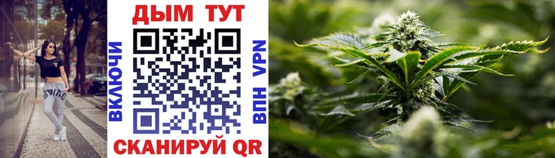 Бошки Шишки OG Kush  цена наркотик  Миллерово 